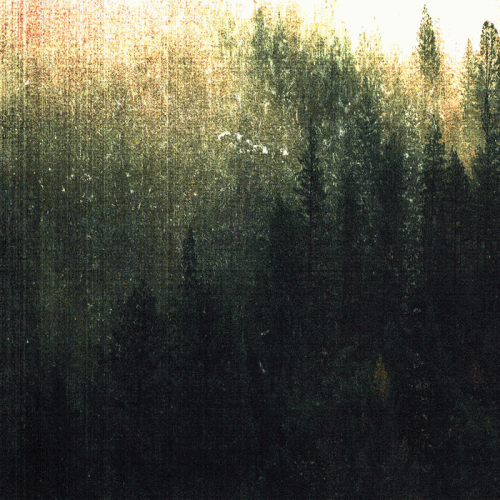 Morannon (ESP) : Cold Forest